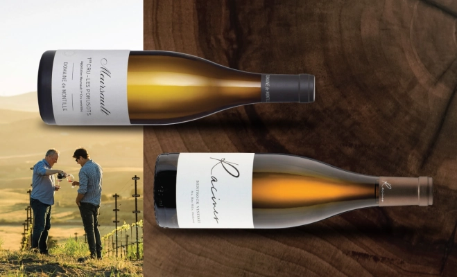 Mastering Terroir: Domaine de Montille from Burgundy to California