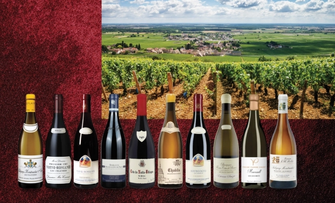 Annual Burgundy Allocation