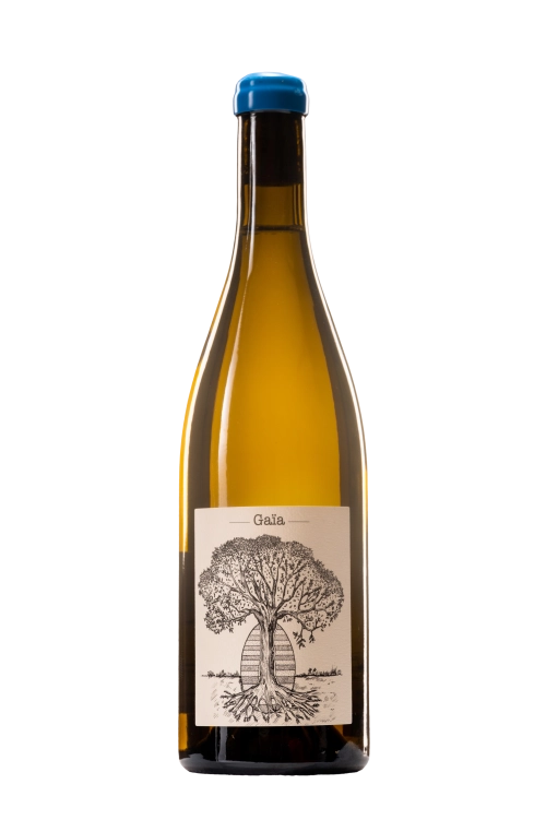 Domaine de Bellevue Muscadet Sevre-et-Maine Gaia Cuvee Ovoide 2021